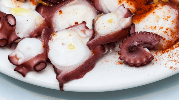 Grilled octupus